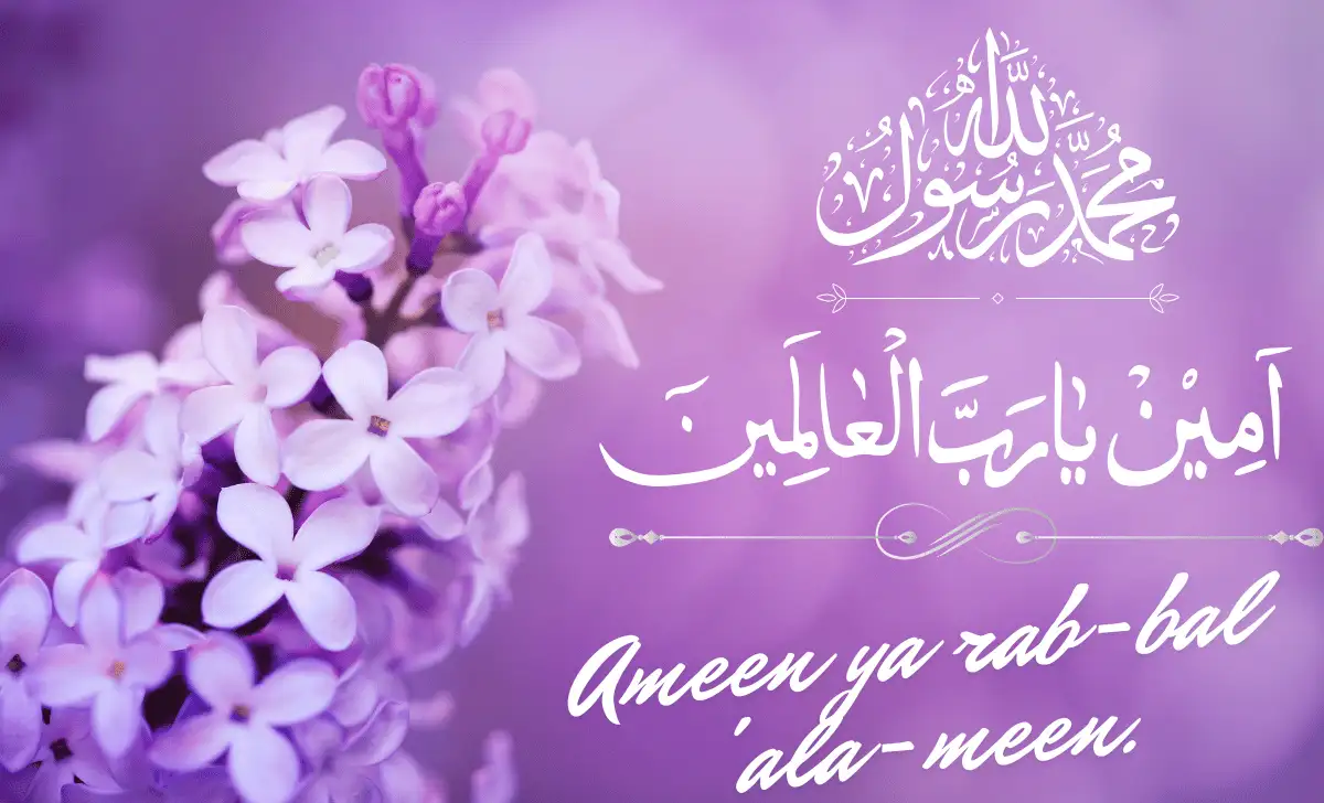 Lilac flowers background with Arabic calligraphy of Ameen Ya Rabbul Alameen and the Shahada, including English transliteration.